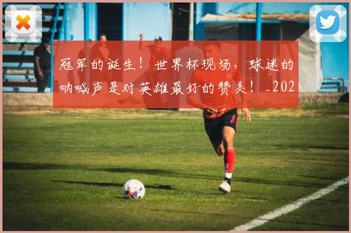 冠军的诞生！世界杯现场，球迷的呐喊声是对英雄最好的赞美！_20260703215700