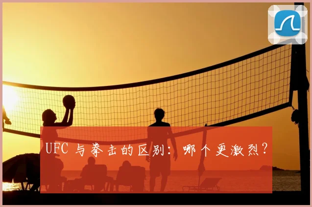 UFC 与拳击的区别：哪个更激烈？