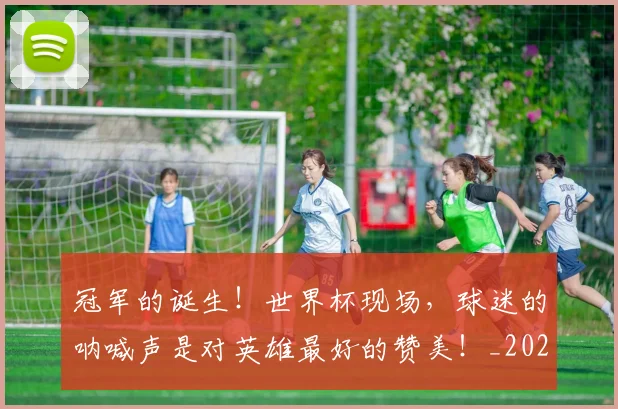 冠军的诞生！世界杯现场，球迷的呐喊声是对英雄最好的赞美！_20260703215700